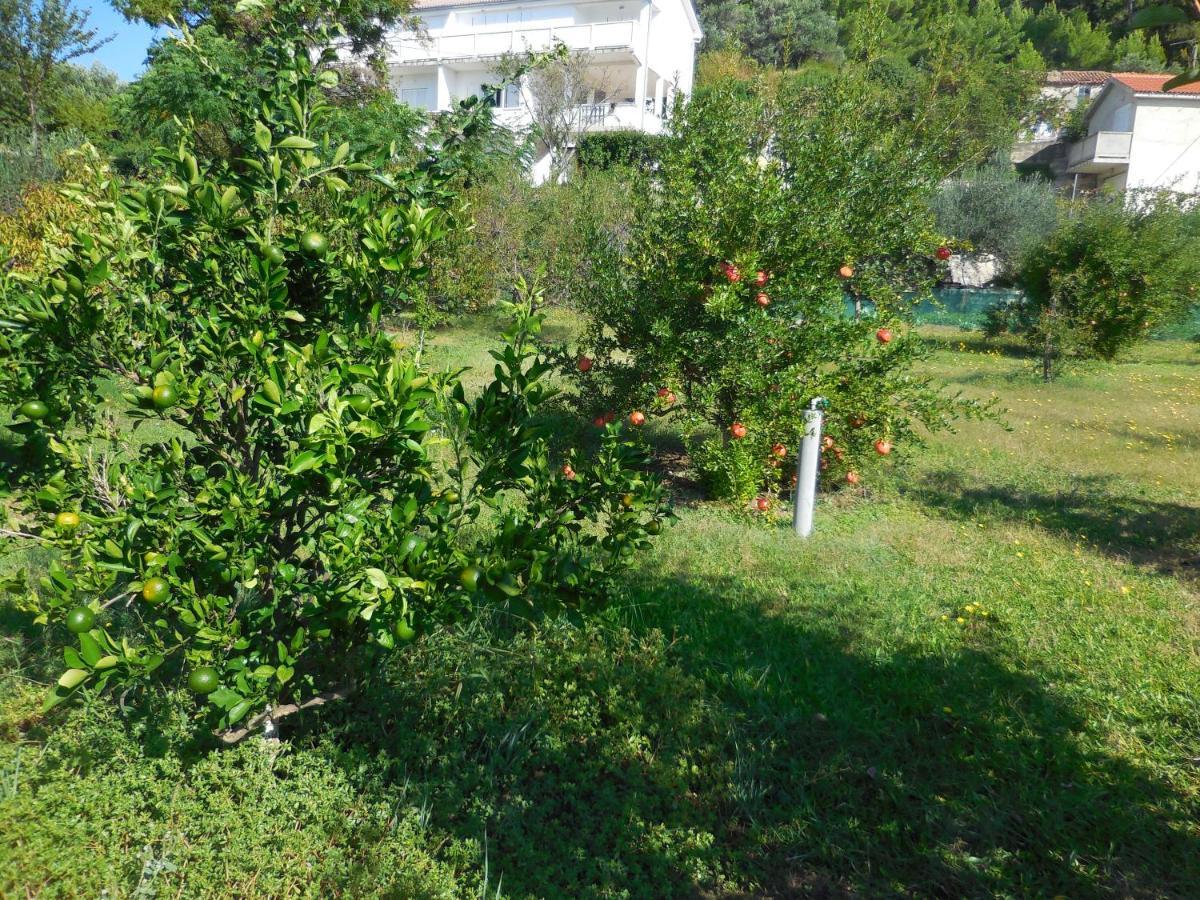 Apartments Ivica Lupic Kampor Εξωτερικό φωτογραφία